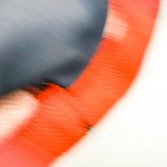 Club Monaco Printed Patterned Paisley Short Sleeve Shift Dress Size 0 - Picture 4 of 6